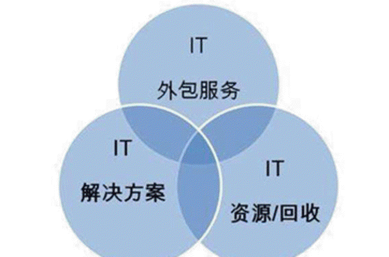 上海网站建设新趋势：数字化转型的引擎